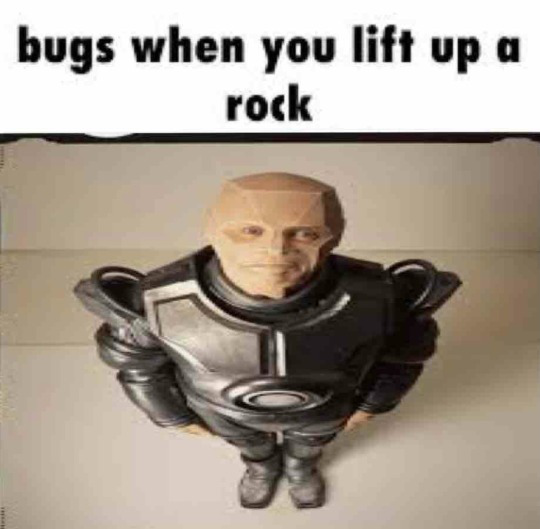 bugs when you lift up a rock